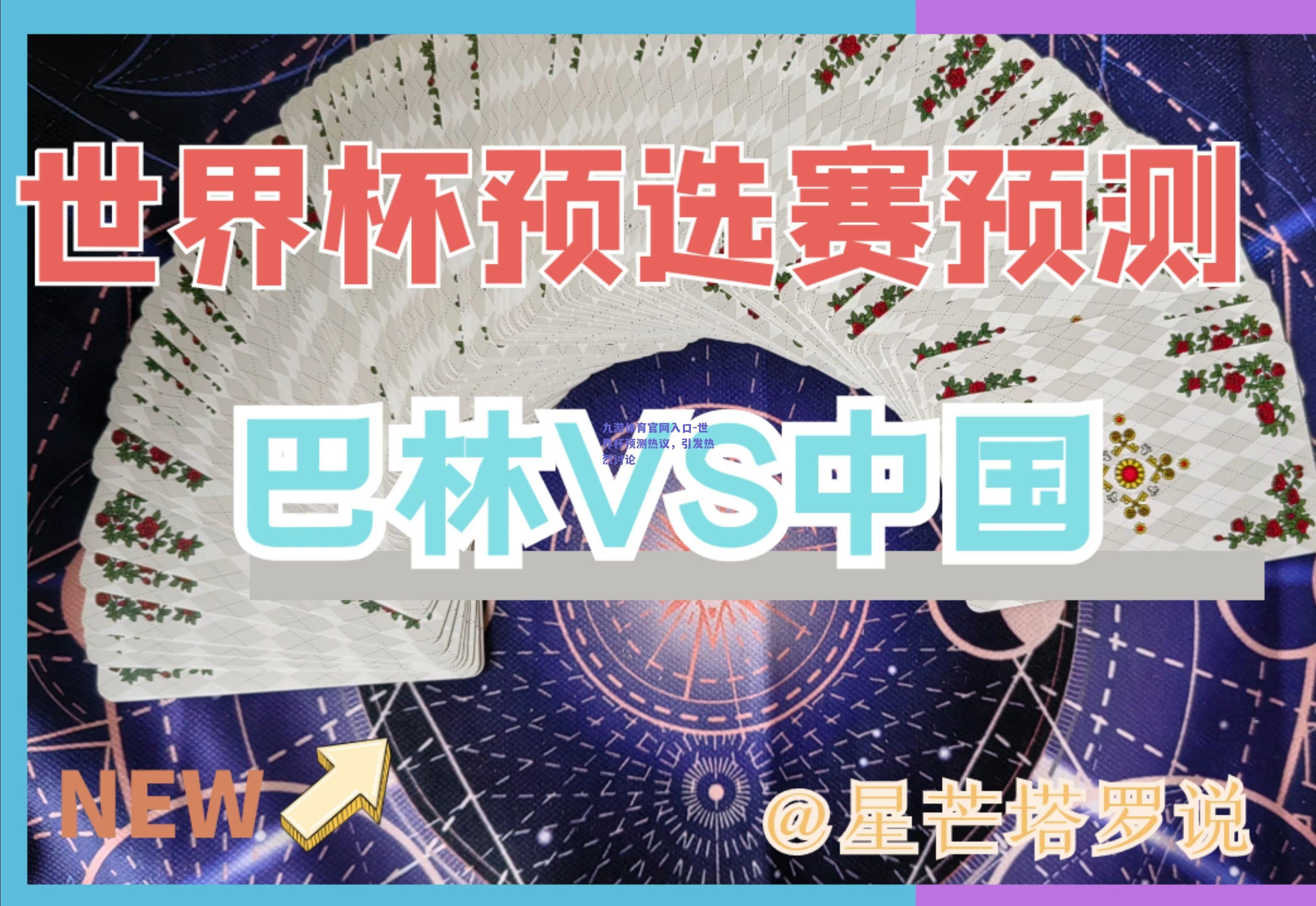 世界杯预测热议，引发热烈讨论